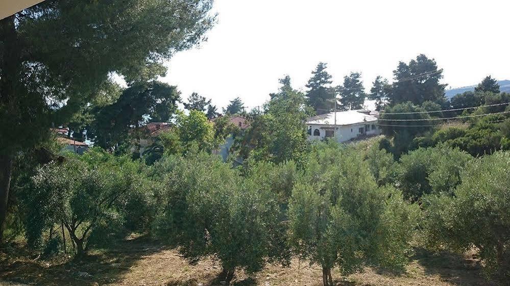 Artemis Plaza Aparthotel Ajía Paraszkeví Kültér fotó